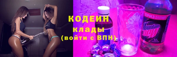 эйфоретик Богданович