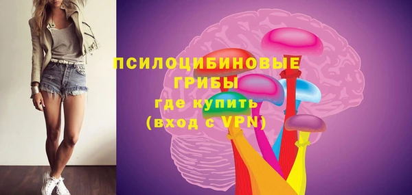 эйфоретик Богданович