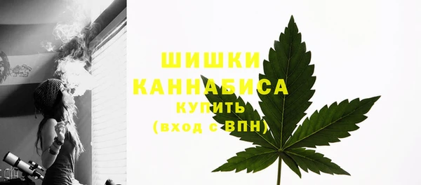 ECSTASY Богородск