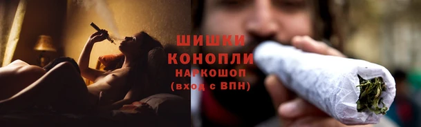 эйфоретик Богданович