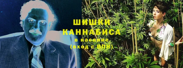 ECSTASY Богородск