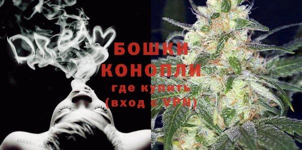 ECSTASY Богородск