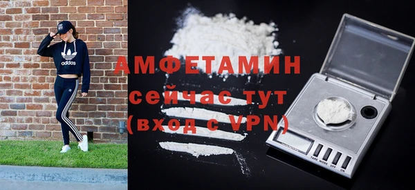 эйфоретик Богданович