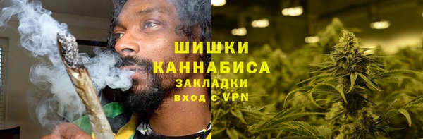 ECSTASY Богородск